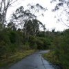 Race track at the Gully, Katoomba